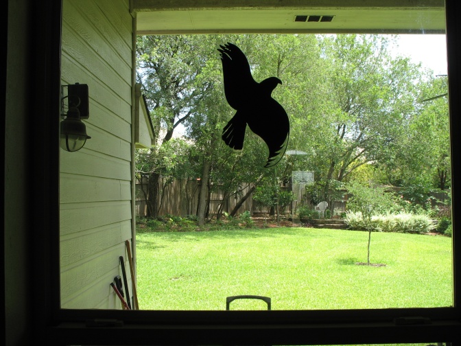 Ein schwarzer Aufkleber in Form eines Vogels an einer Fensterscheibe.