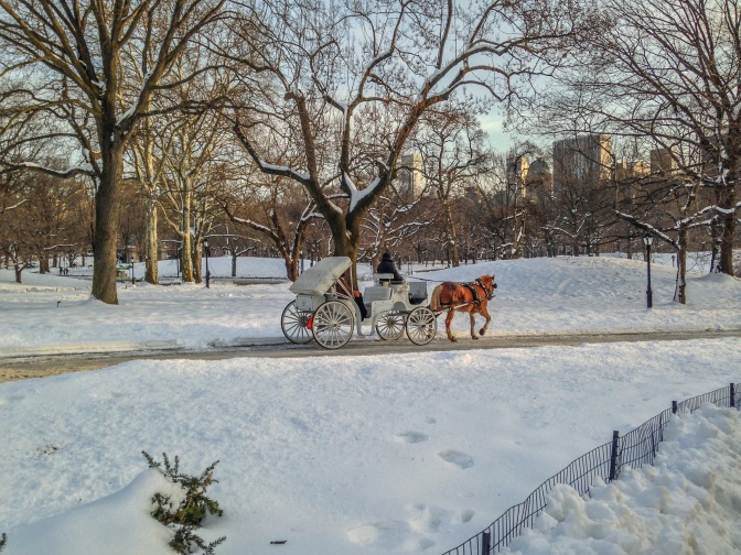 Eine Pferdekutsche im verschneiten Central Park